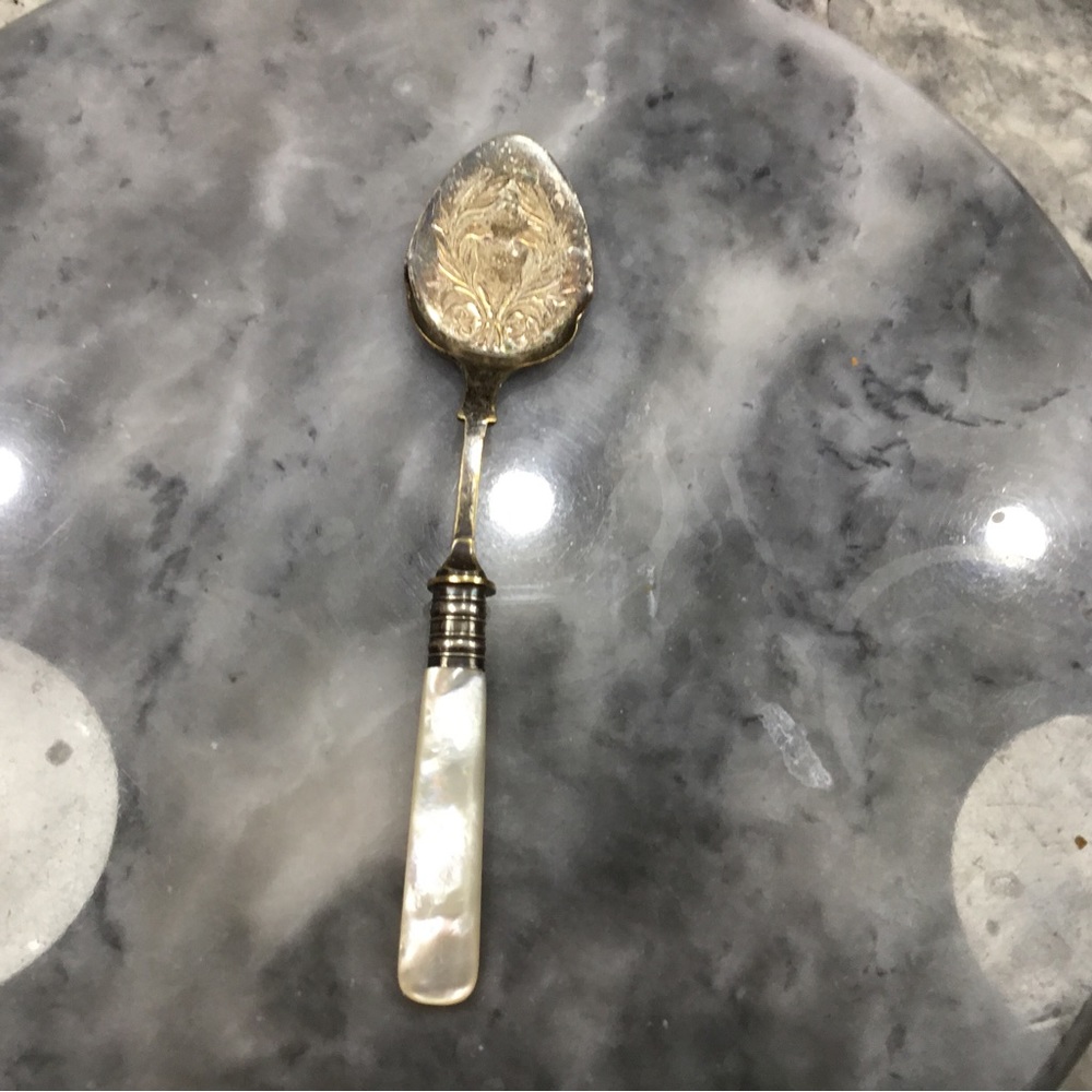 EP Sterling & Silverplate Genuine “Mother of Pearl Serving Spoon!
